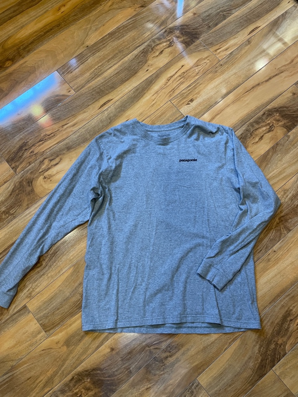 Men’s large Patagonia long sleeve T-shirt with back graphic